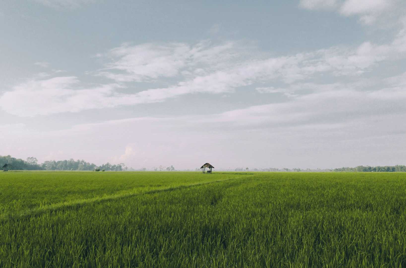 Welcome to Hindsight Ventures